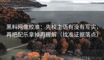 黑料网像校准：先校主语有没有写实，再把配乐拿掉再理解（找准证据落点）