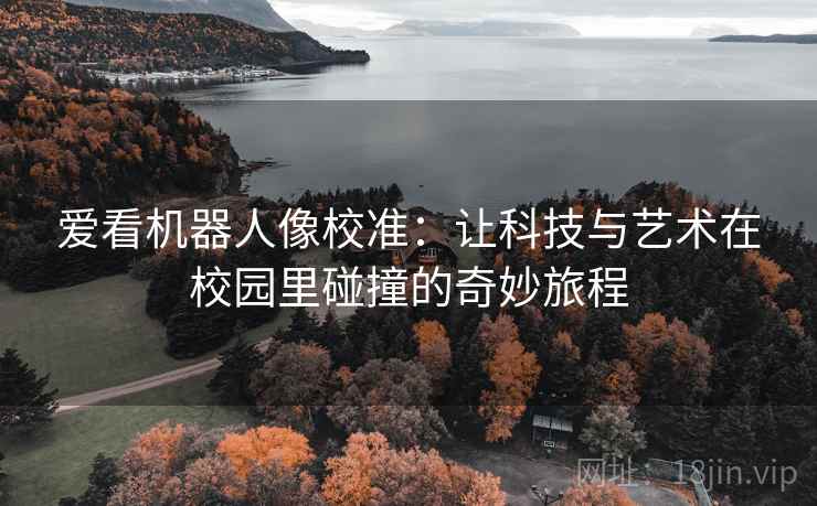 爱看机器人像校准：让科技与艺术在校园里碰撞的奇妙旅程